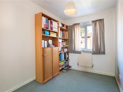 Picture 13